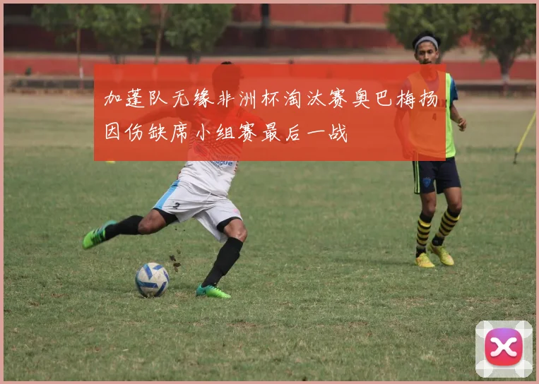 加蓬队无缘非洲杯淘汰赛奥巴梅扬因伤缺席小组赛最后一战