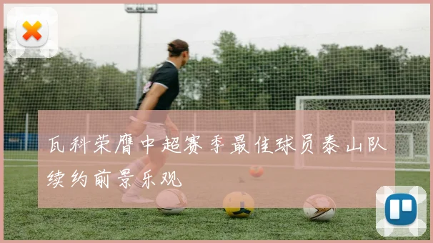 瓦科荣膺中超赛季最佳球员泰山队续约前景乐观