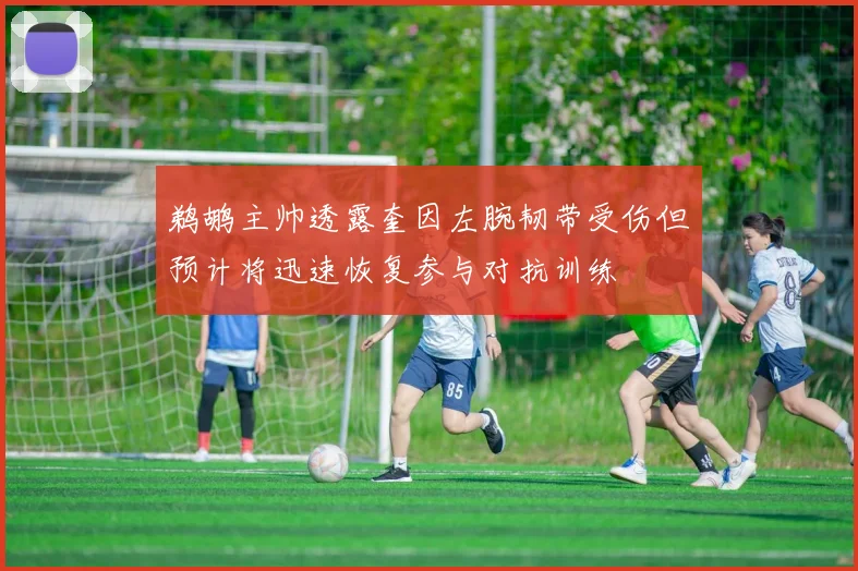 鹈鹕主帅透露奎因左腕韧带受伤但预计将迅速恢复参与对抗训练